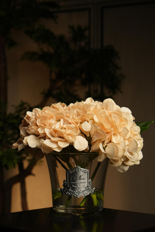 Hydrangeas & Rosebuds - Champagne
