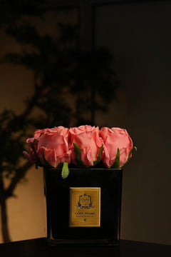 Couture Rose Buds In black Glass Gold - Peach