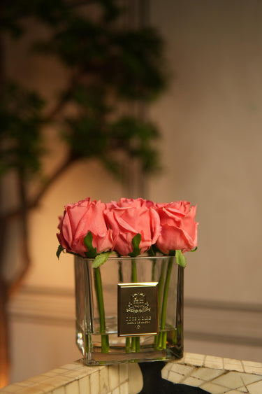 Asmira - Cote Noire's Flower Vases