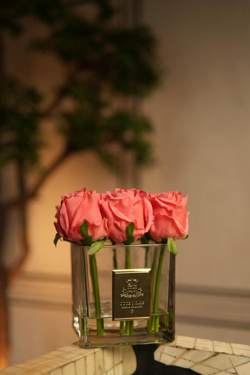 Asmira - Cote Noire's Flower Vases