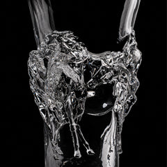 Equestrian Crystal Glass Vase