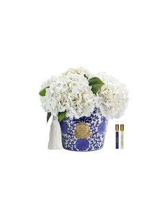 Oriental Hydrangeas - Ivory White