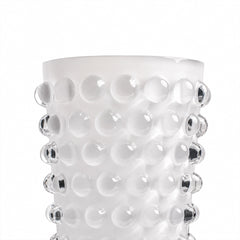 Lumière Frosted Glass Vase