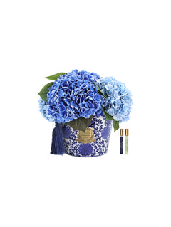 Oriental Hydrangeas - Blue