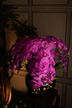 Giant Orchid Fuchsia