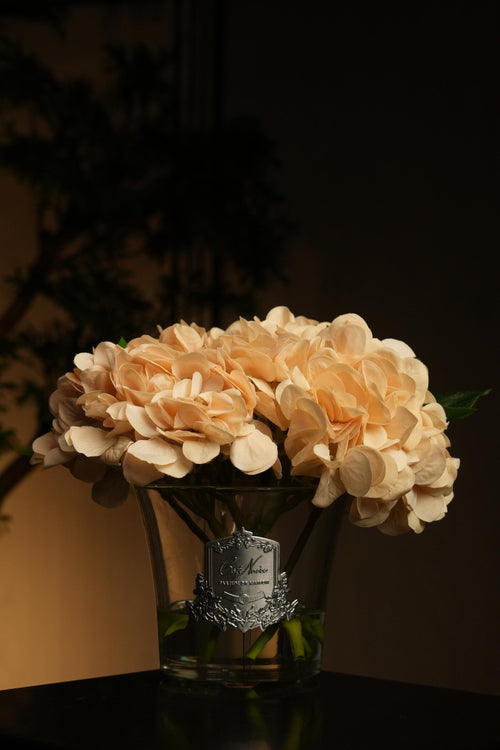 Hydrangeas & Rosebuds - Champagne