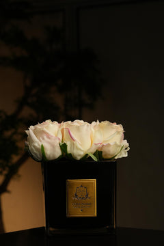 Couture Rose Buds In Black Glass Gold - Blush