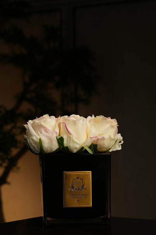 Couture Rose Buds In Black Glass Gold - Blush