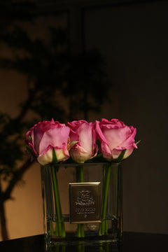 Couture Rose Buds In Clear Glass Gold - Magenta