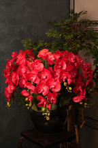 Giant Orchid Red