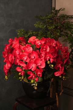 Giant Orchid Red
