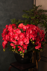 Giant Orchid Red
