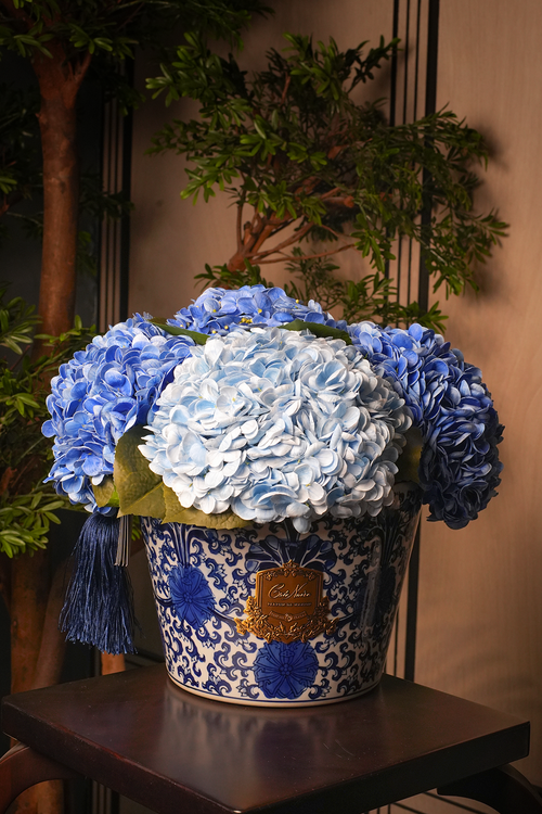 Oriental Hydrangeas - Blue