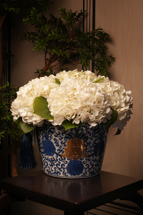 Oriental Hydrangeas - Ivory White