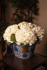 Oriental Hydrangeas - Ivory White