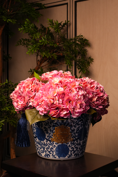 Oriental Hydrangeas - Pink