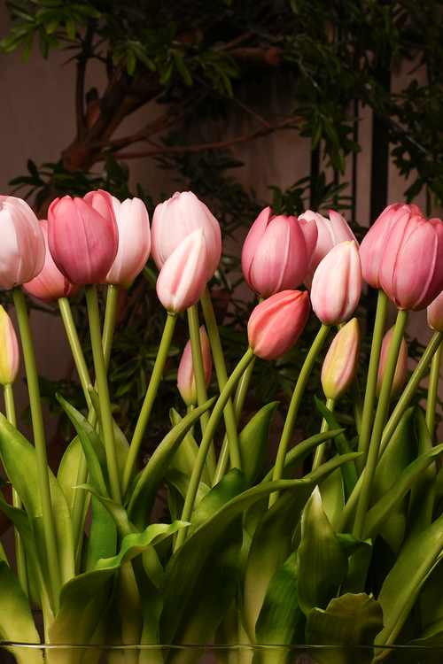 Blush Tulip Glass Arrangement
